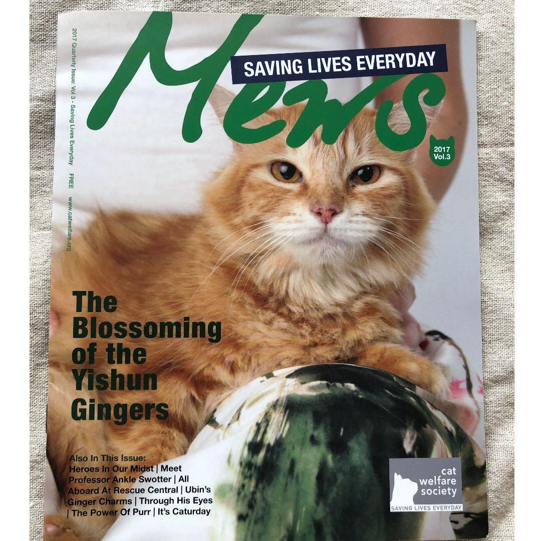 Prelovedwithlove Mews Cat Welfare Society Newsletter Cute Cat