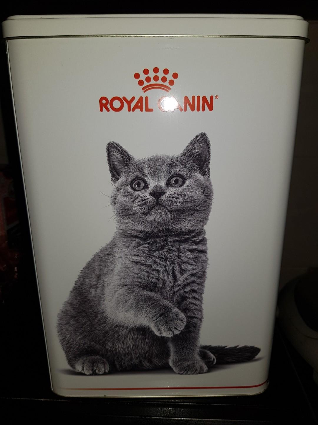 Royal Canin Kitten Food For Bsh Pet Supplies For Cats Cat Food