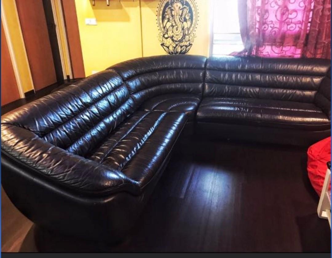 Seahorse Comfy Leather Sofa Furniture Sofas On Carou Seahorse Comfy Leather Sofa