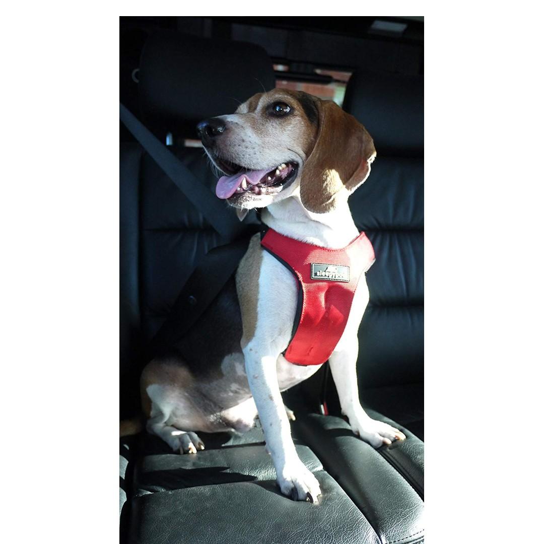 Sleepypod Clickit Sport Certified and CrashTested Dog Safety Harness, Pet Supplies, Homes