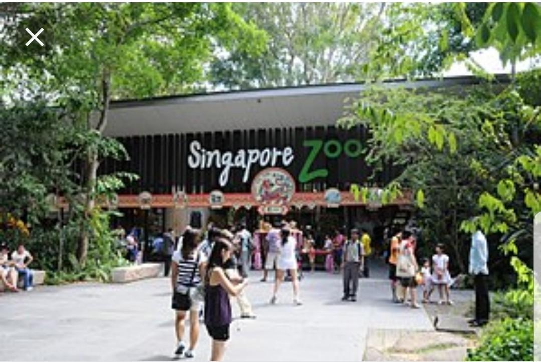 river safari tickets 1 for 1 singapore zoo