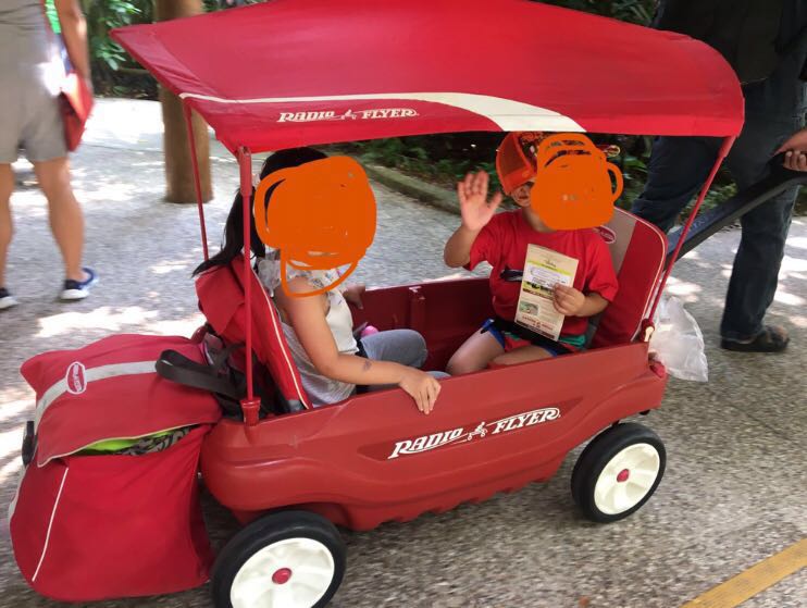 Radio Flyer Wagon Ultimate Comfort Babies Kids Strollers Bags Carriers On Carousell