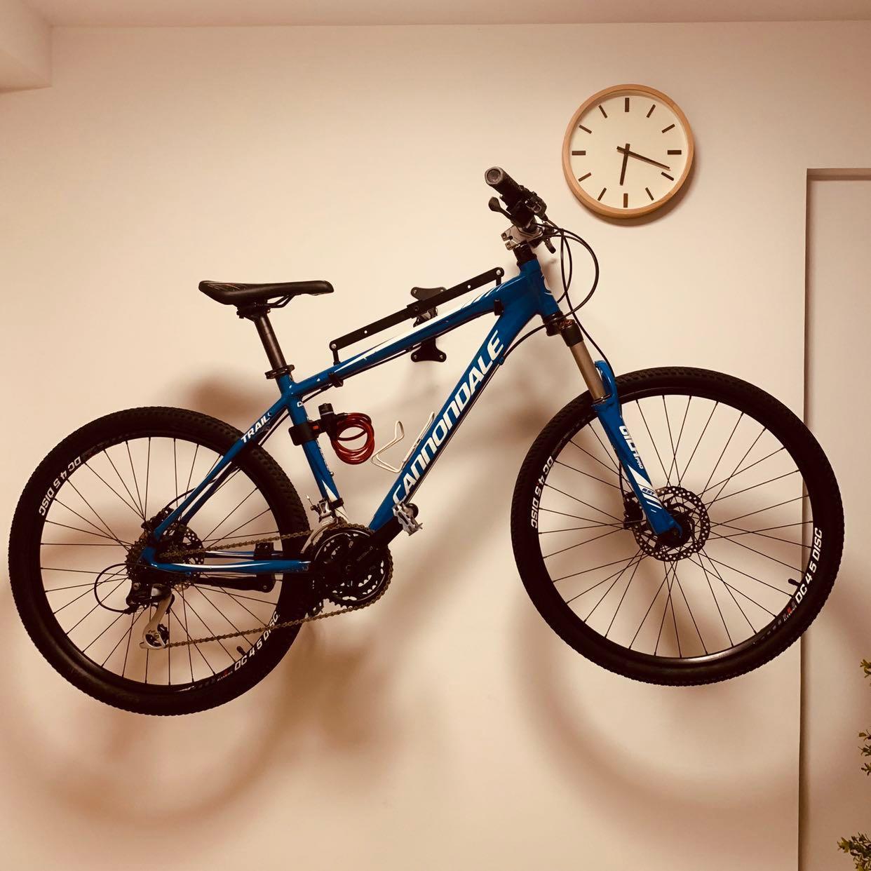 Cannondale trail 4.5 2025