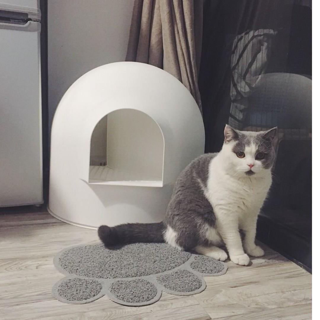 Igloo snow cat litter outlet