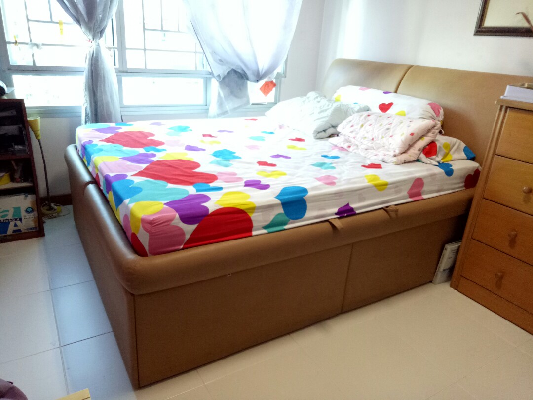 Seahorse Leather storage bed frame, Furniture & Home Living, Furniture