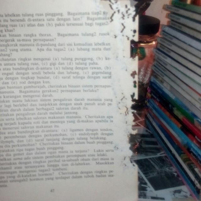 Buku Kajihayat Manusia Dbp Lama Antiques Vintage Collectibles On Carousell