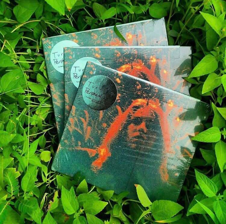 Turnover Peripheral Vision Music Media Cds Dvds Other Media On Carousell