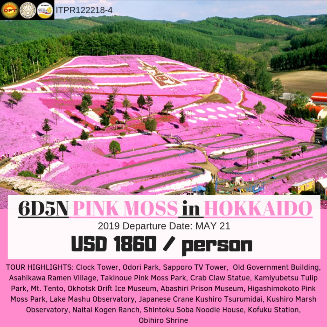 6D5N Pink Moss in Hokkaido, Tickets & Vouchers, Flights & Overseas ...