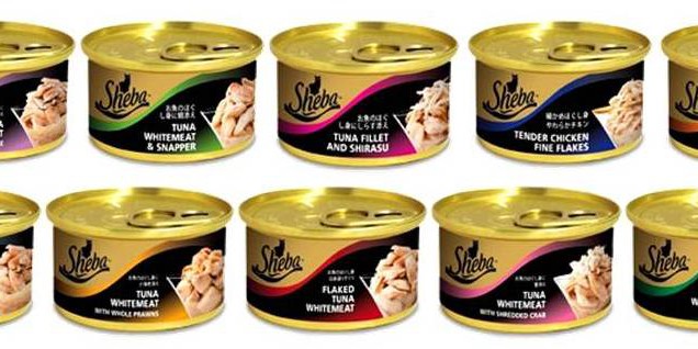 sheba wet food