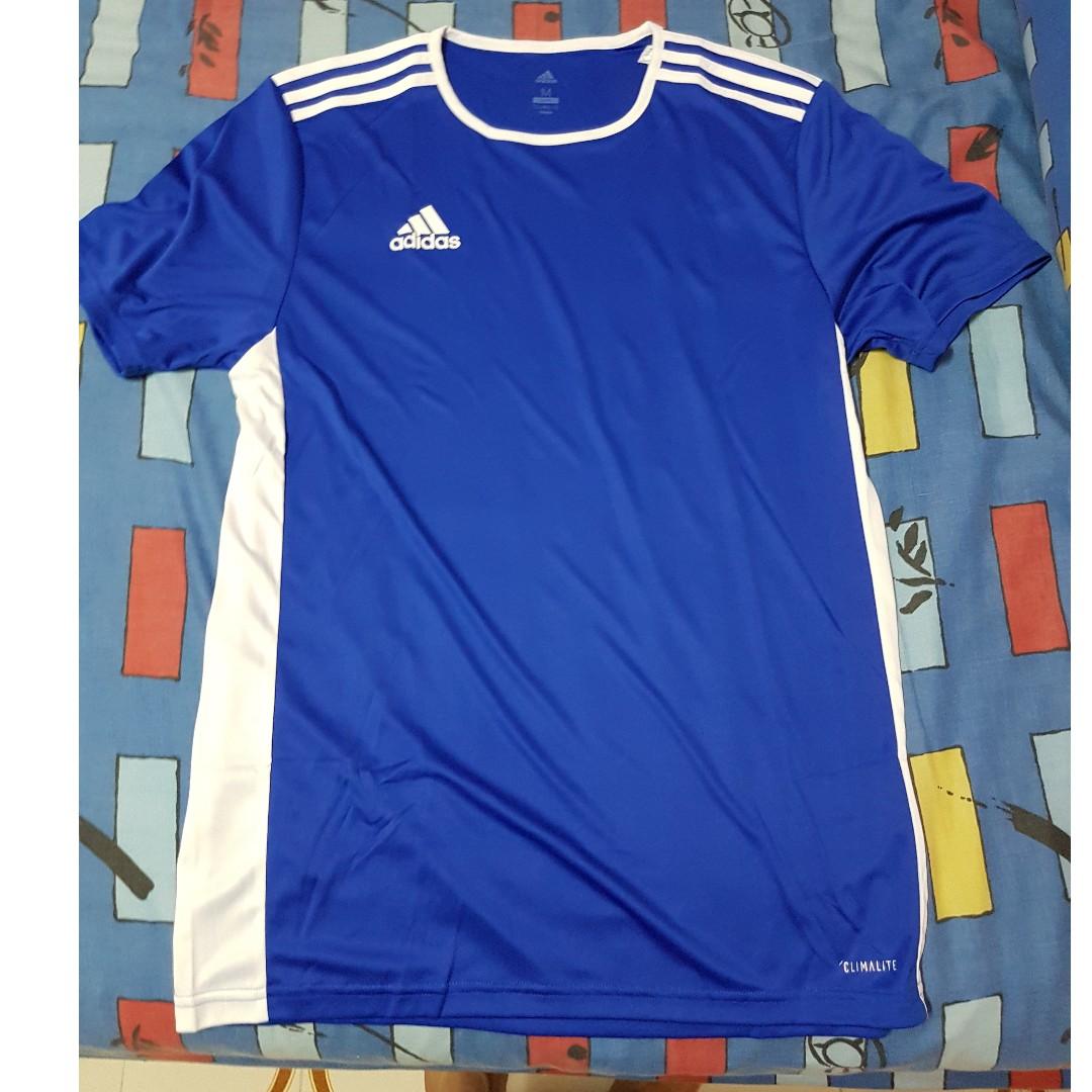 adidas women's dri fit shirts