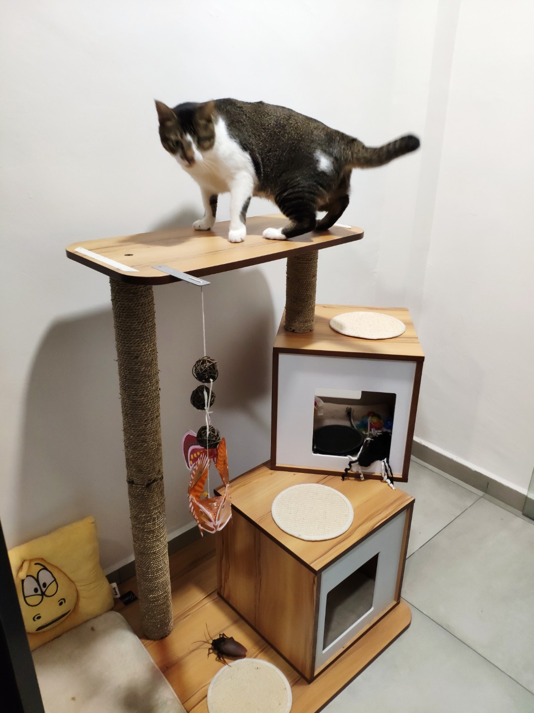 Cat tree, Pet Supplies, Homes & Other Pet Accessories on Carousell