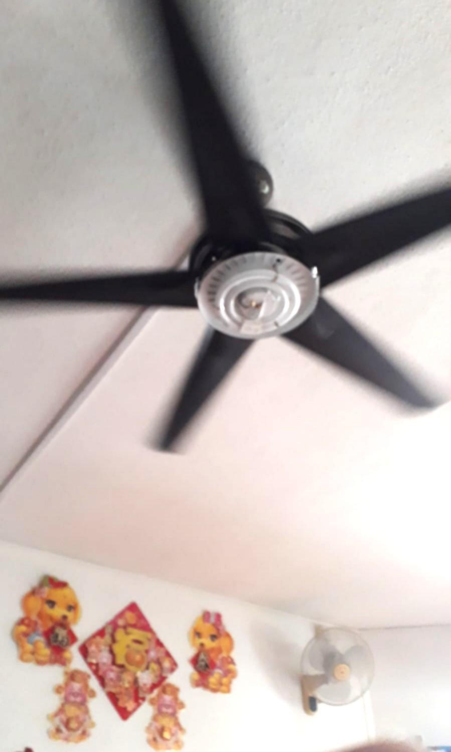 Ceiling Fan 5 Blades On Carou Ceiling Fan 5 Blades On Carou