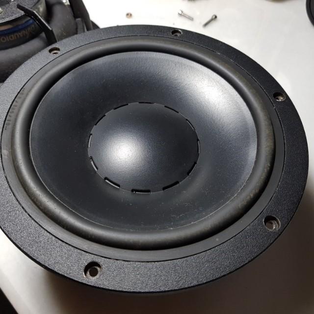 Dynaudio esotec 20w75 8 inch woofer, Audio, Soundbars, Speakers ...