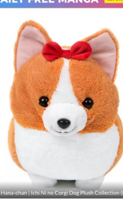 Ichi Ni No Corgi Dog Plush Plushy Hana Chan Toreba Hobbies Toys
