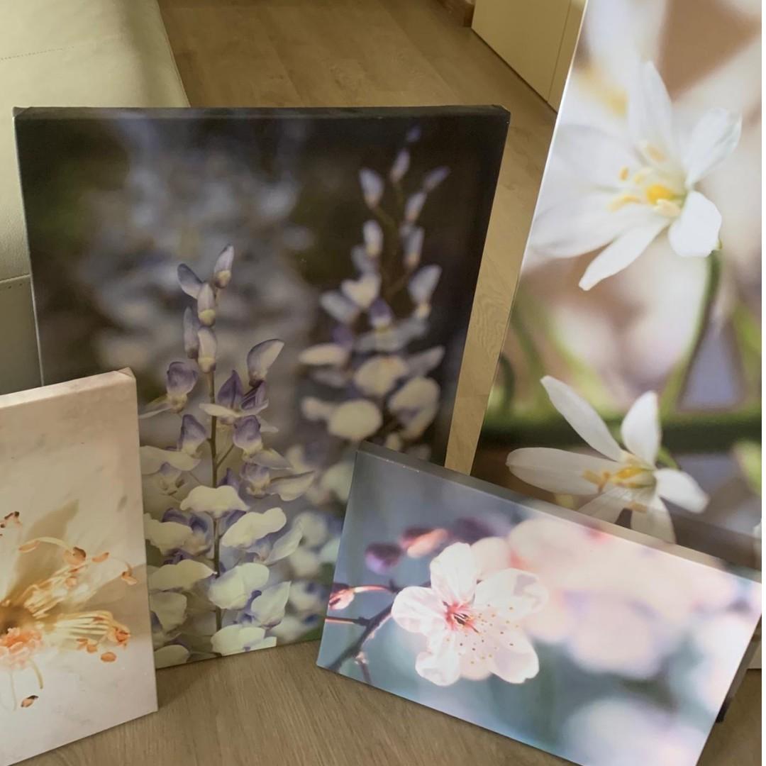 IKEA floral painting (Set of 4), Hobbies & Toys, Stationery & Craft, Art & Prints on Carousell