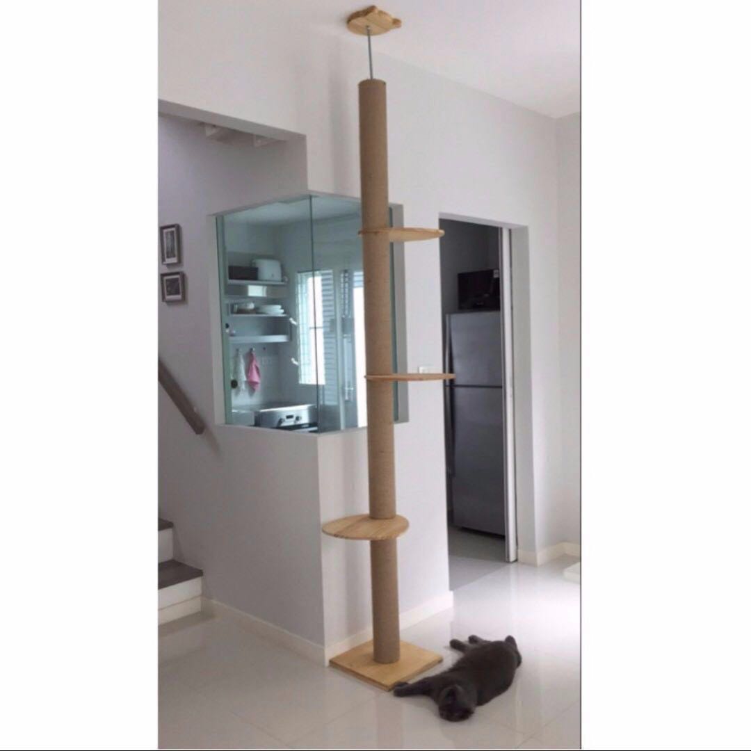 Sale Solid Pine Wood Cat Ceiling High Tree Climbing Post Condo