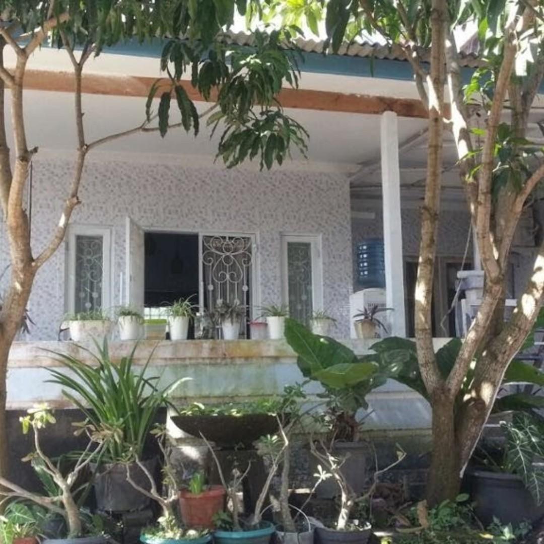 Jual Cepat Rumah Bagus Siap Huni Lokasi Strategis Di Jimbaran Bali Harga Dibawah Pasaran Properti Dijual Di Carousell