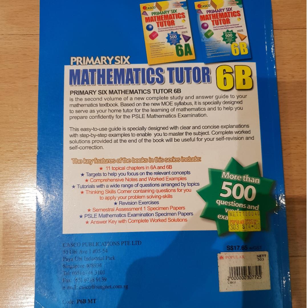 primary_6_mathematics_tutor_6b_1545571652_de541d3e1_progressive