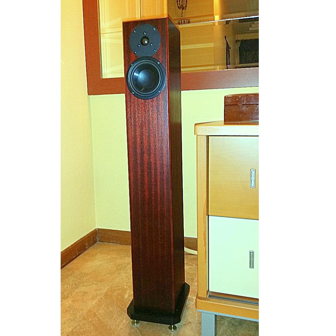totem arro for sale