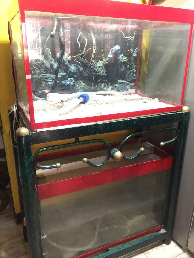 dual stand and ohf pet supplies