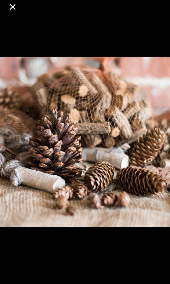 Assorted pine nut (Category: Craft Supplies & Tools) located in Singapore. Submitted by charlipoof (Listing ID 206179425, Image 1). Description: .