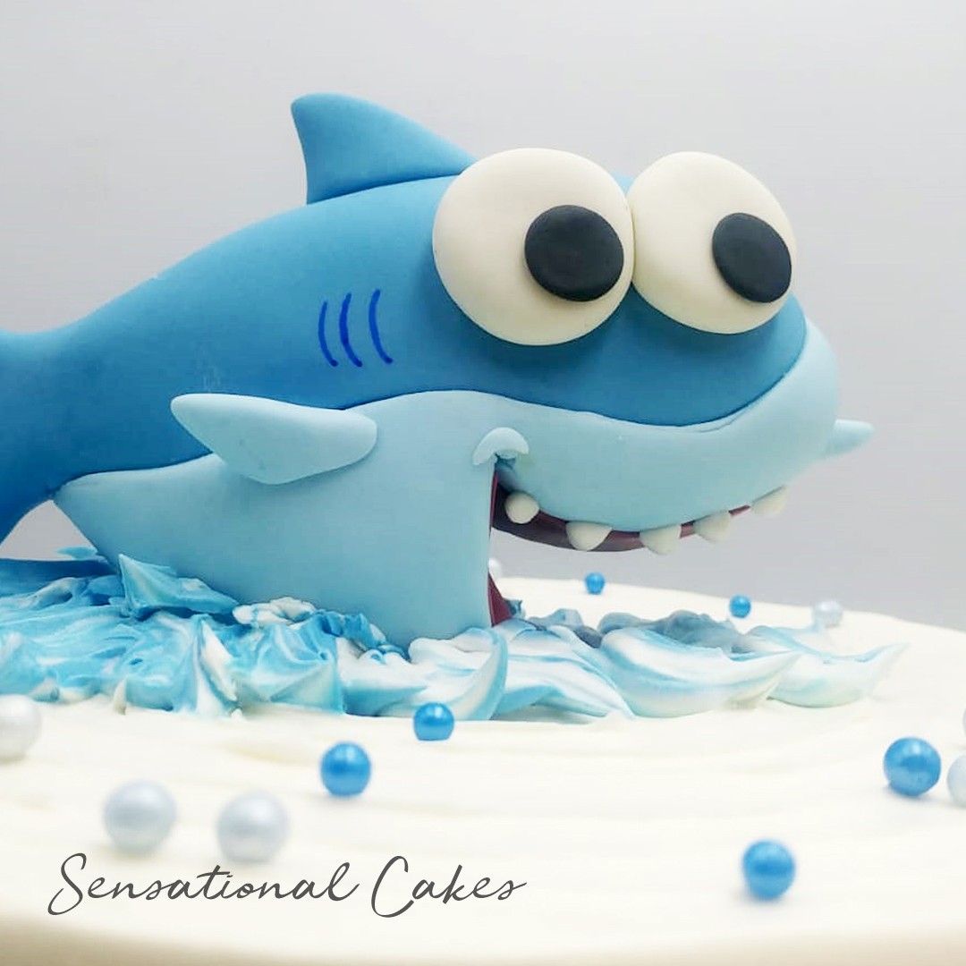 Cute Hungry Baby Shark 3d Suar Topper Ombre Rustic Blue Theme