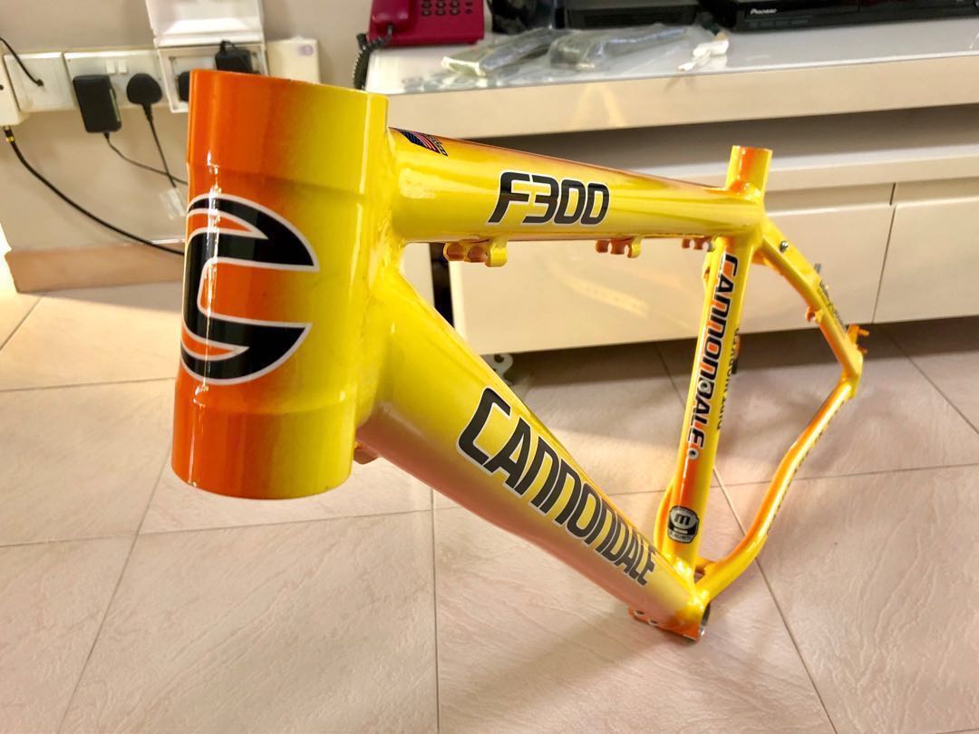 Cannondale F300 MTB frame Set