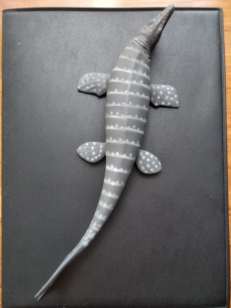 mosasaurus collecta