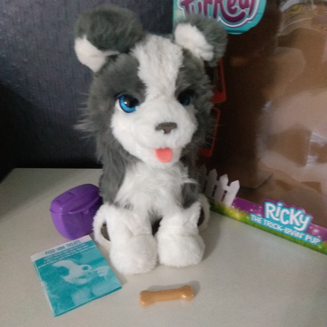 ricky trick puppy