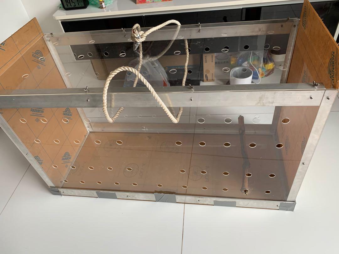 Acrylic bird carrier, Pet Supplies, Homes & Other Pet Accessories on