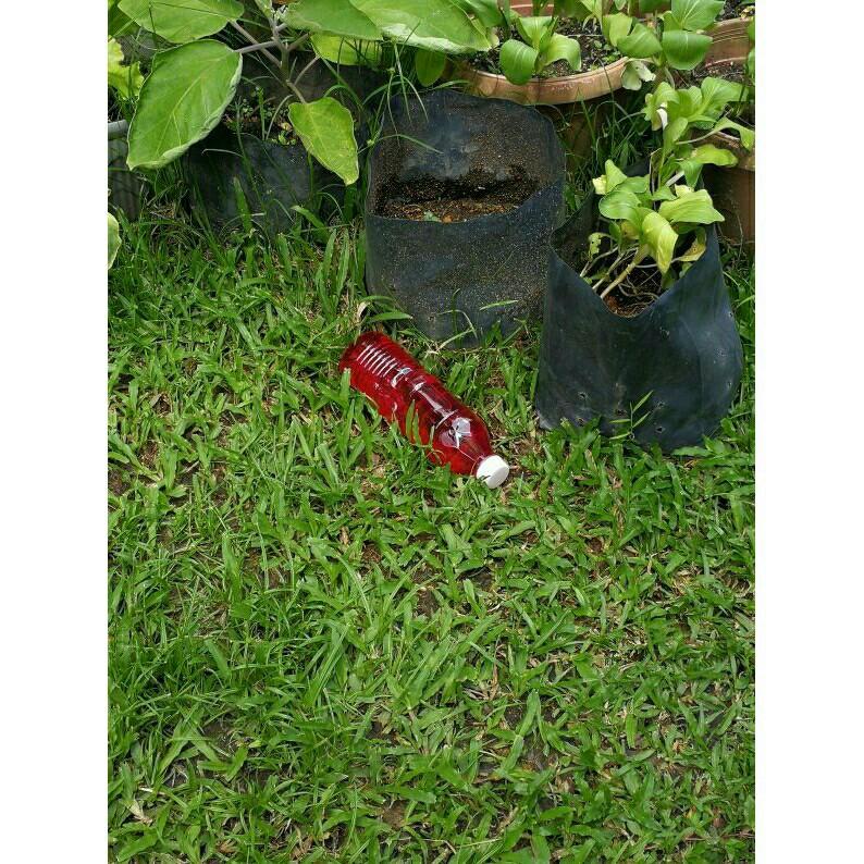 Cats repellent. Penghalau kucing, Pet Supplies, Homes u0026 Other Pet 