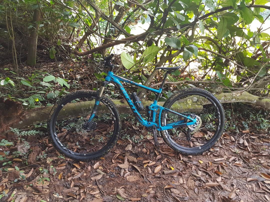 2018 giant top anthem 3