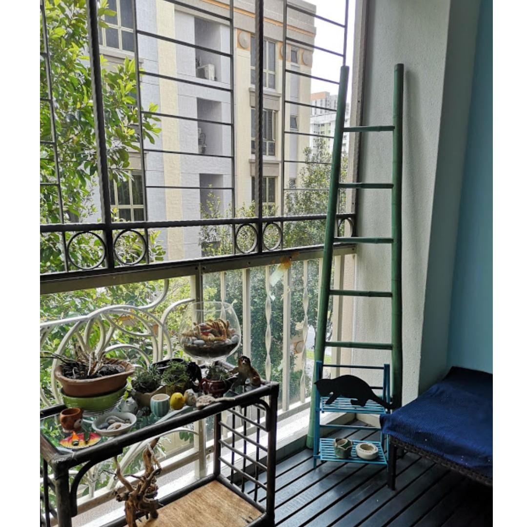 Decorative Bamboo Ladder In Pastel Turquoise Furniture Home