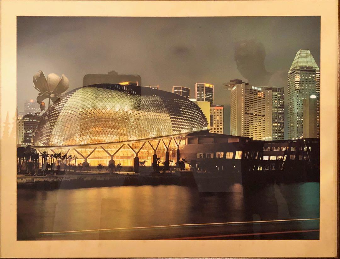 Esplanade Large Framed Photo, Furniture & Home Living, Home Decor