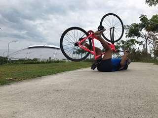 Aventon cordoba fixie (full bike)