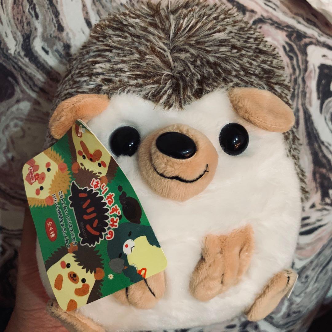 amuse collection hedgehog