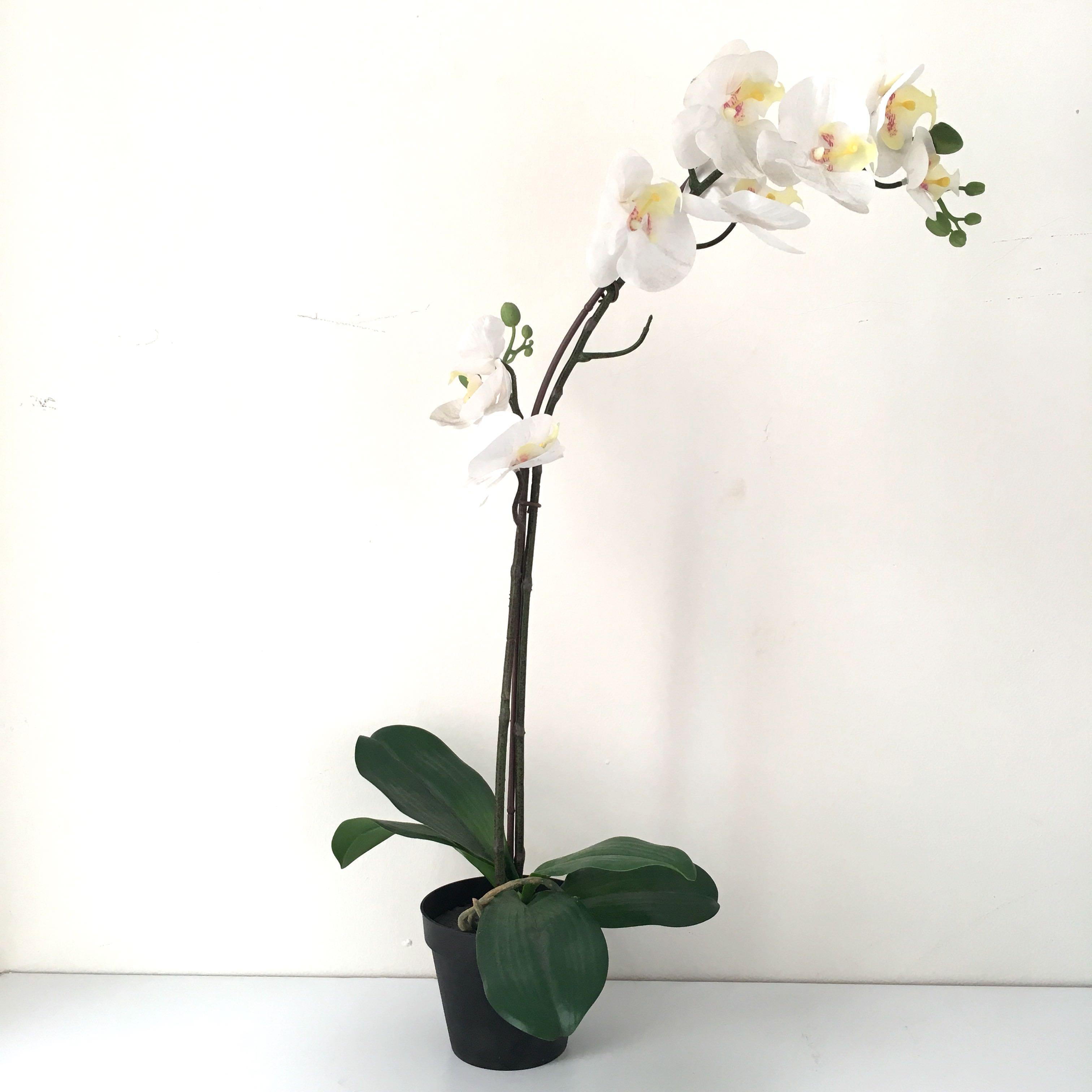 IKEA Orchid, Furniture & Home Living, Home Decor, Artificial Plants & Flowers on Carousell