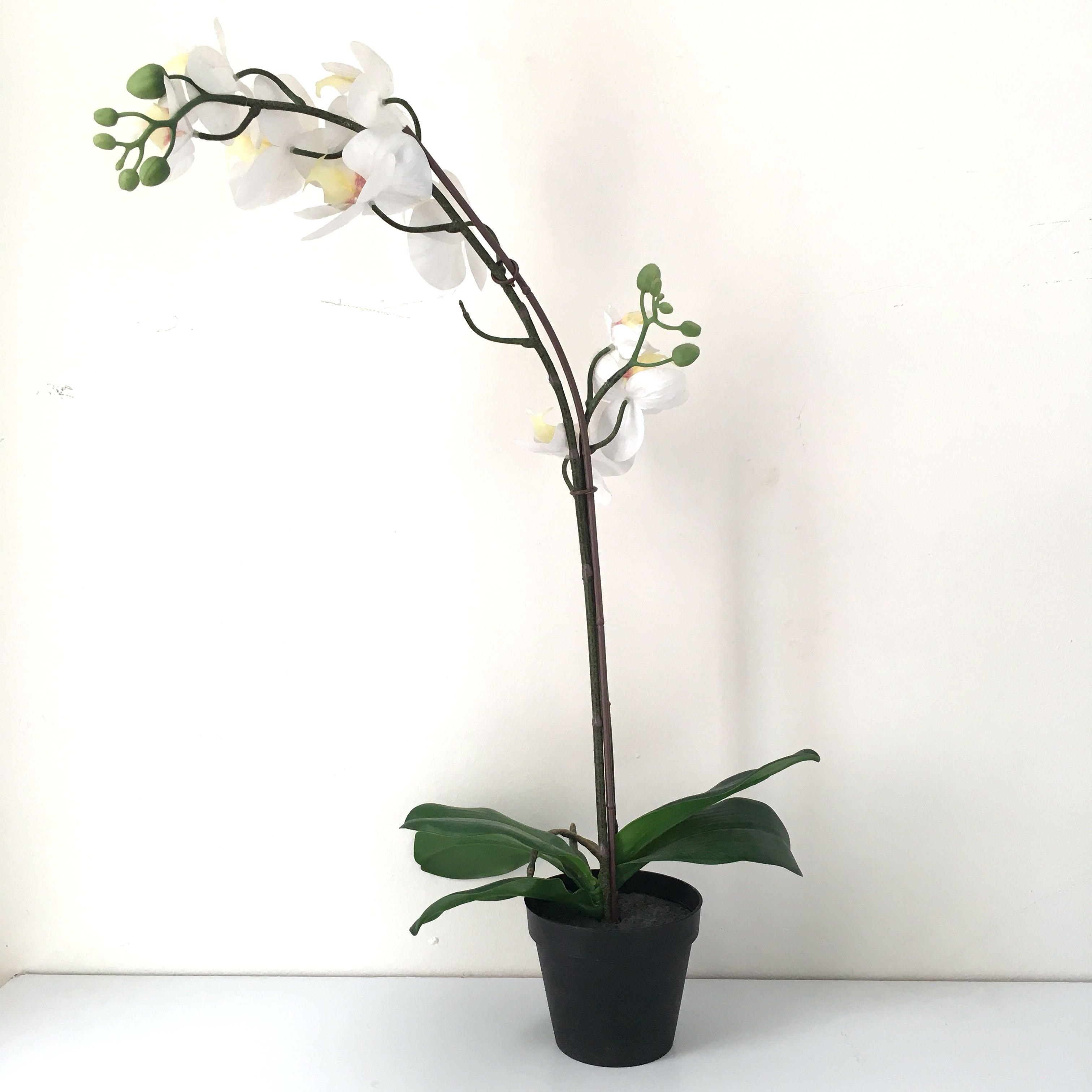 IKEA Orchid, Furniture & Home Living, Home Decor, Artificial Plants & Flowers on Carousell