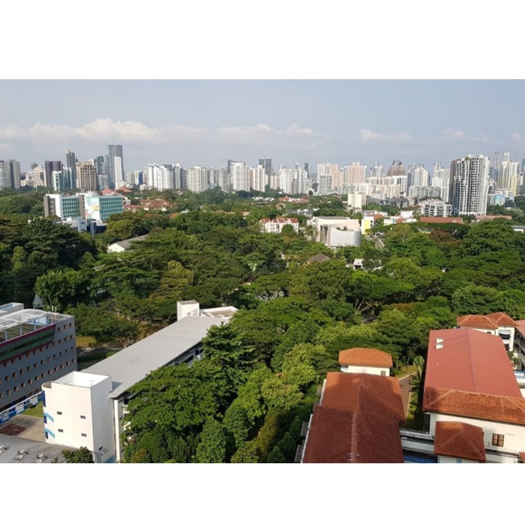 (Category: ) located in . Submitted by Chronos_SG (Listing ID 206733699, Image 1). Description: .