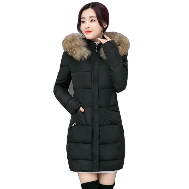 Rent Winter Down Jacket Women Rental Women S Fashion Clothes