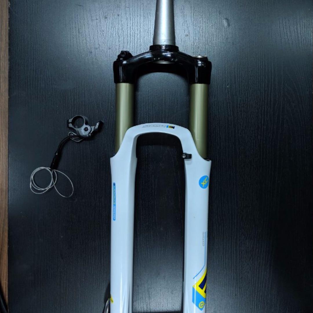 white mtb forks