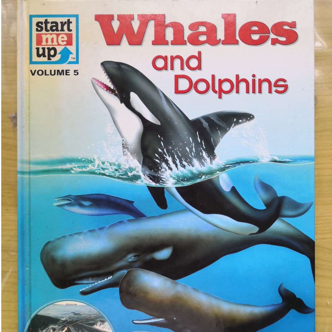Whales and Dolphins, Books & Stationery, Children's Books on Carousell