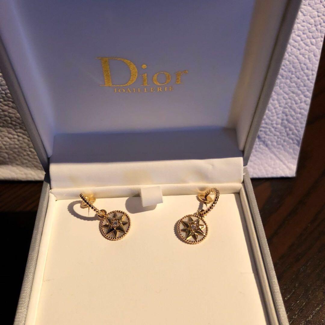 dior rose des vents earrings price