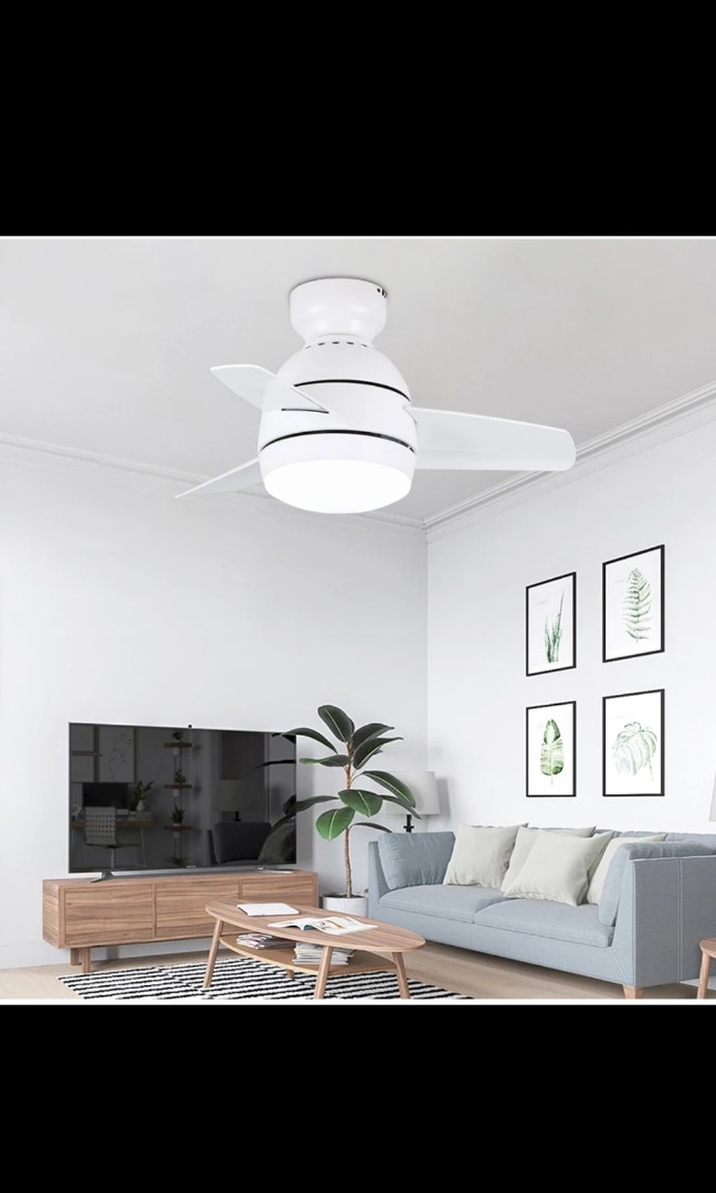 Ceiling Fan With Light Home Appliances Cooling Air Care On
