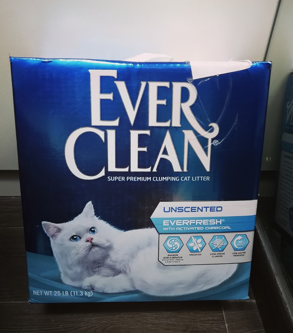 Ever Clean cat litter 貓砂, 寵物用品, 寵物衣服 Carousell