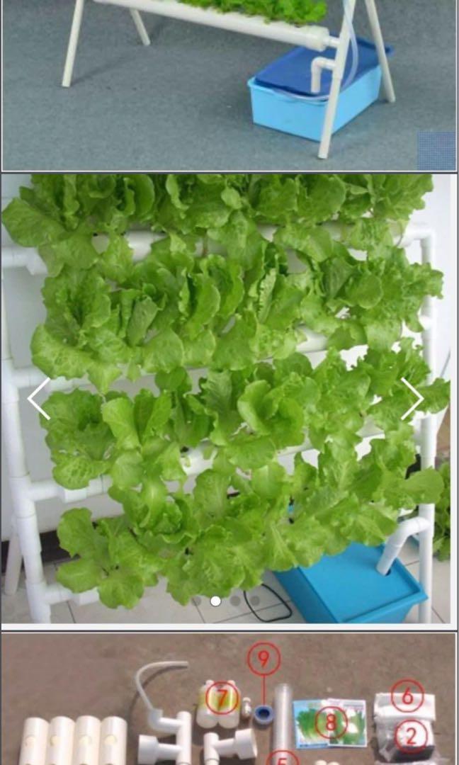 Hydroponics ladder system pvc pipe DIY indoor outdoor, Gardening, Plants on Carousell