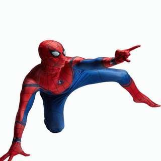 Marvel’s Spider-Man Suit Cosplay Costume