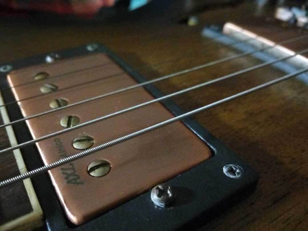 AXL Badwater Semi Hollow, Hobbies & Toys, Music & Media, Musical