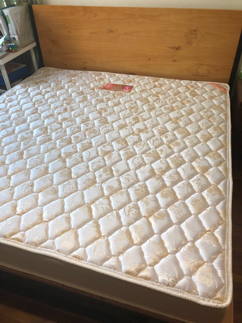 Seahorse mattress shop