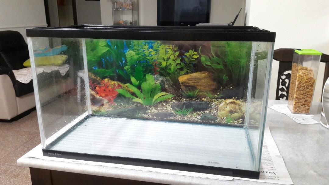 2 feet glass aquarium